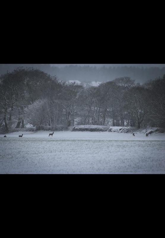 Winter 3